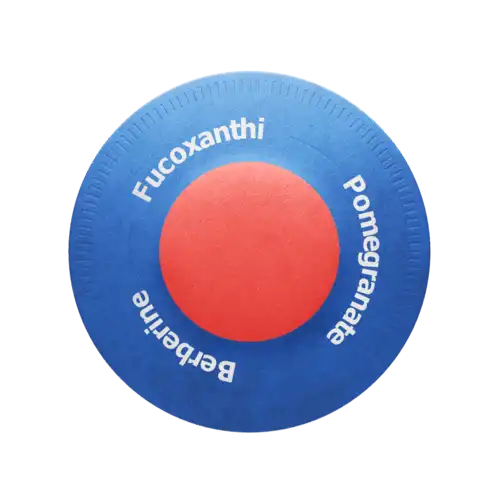 purisaki patches weight management support